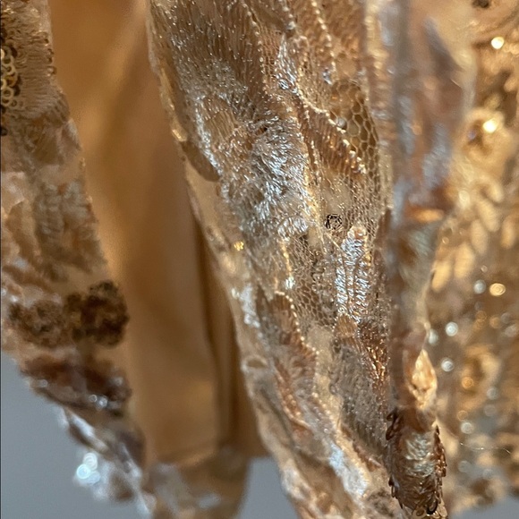 Torrid NWT Gold Embroidered Sequin Formal Dress Beige Floral Midi Dress - Picture 8 of 15